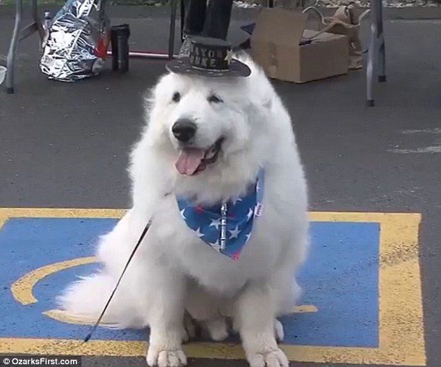 Duke